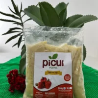 Polpa de Caju